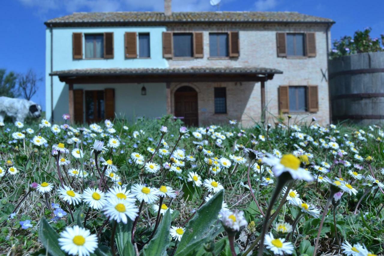 B&B Le Tamerici San Giorgio di Pesaro Exterior foto