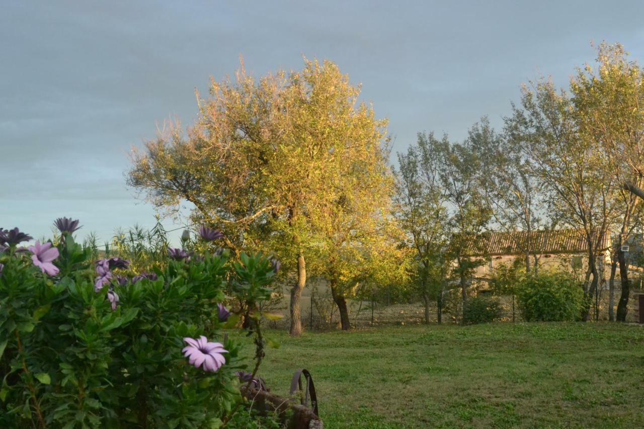 B&B Le Tamerici San Giorgio di Pesaro Exterior foto